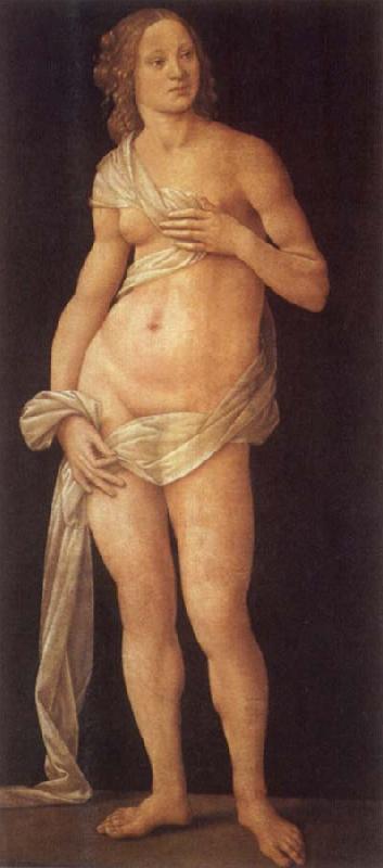 LORENZO DI CREDI Venus oil painting image